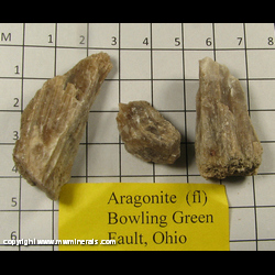 Mineral Specimen: Aragonite from Bowling Green, Wood Co, Ohio Mineral Specimen: Aragonite from Bowling Green, Wood Co, Ohio