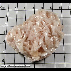 Mineral Specimen: Dolomite, Calcite from Corydon Quarry, Corydon, Harrison Co,  Indiana