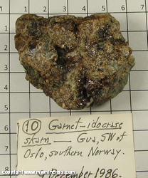 Mineral Specimen: Garnet, Vesuvianite Skarn from SW of Oslo, Norway Mineral Specimen: Garnet, Vesuvianite Skarn from SW of Oslo, Norway
