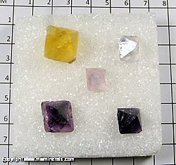 Mineral Specimen: Fluorite Octahedrons from Cave-In-Rock, Hardin Co, Illinois Mineral Specimen: Fluorite Octahedrons from Cave-In-Rock, Hardin Co, Illinois