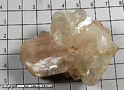 Mineral Specimen: Apophyllite, Stilbite from Nasik, Maharastra, India