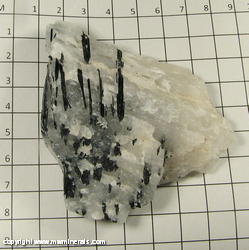 Minerals Specimen: Tourmaline (Schorl) in Quartz from Minas Gerais, Brazil Minerals Specimen: Tourmaline (Schorl) in Quartz from Minas Gerais, Brazil