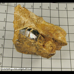 Mineral Specimen: Rutile Crystal in Matrix from Champion Mine, White Mountain Peak, White Mts, Mono Co,  California