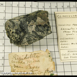 Mineral Specimen: Clinochlore variety: Ripodilite from Wood's Chrome Mine, Texas, Little Britain Twp, State Line Chromite Dist, Lancaster Co, Pennsylvania Mineral Specimen: Clinochlore variety: Ripodilite from Wood's Chrome Mine, Texas, Little Britain Twp, State Line Chromite Dist, Lancaster Co, Pennsylvania