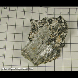 Minerals Specimen: Fluorrichterite from Wilberforce area, Haliburton Co, Ontario, Canada Minerals Specimen: Fluorrichterite from Wilberforce area, Haliburton Co, Ontario, Canada