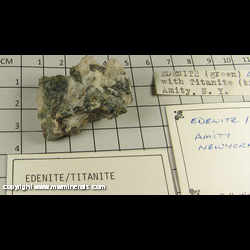 Mineral Specimen: Edenite and Titanite from Amity. Town of Warwick. Orange Co.. New York Mineral Specimen: Edenite and Titanite from Amity. Town of Warwick. Orange Co.. New York