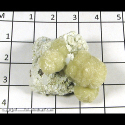 Mineral Specimen: Gyrolite, Quartz, Calcite from Pune District, Maharashtra, India Mineral Specimen: Gyrolite, Quartz, Calcite from Pune District, Maharashtra, India