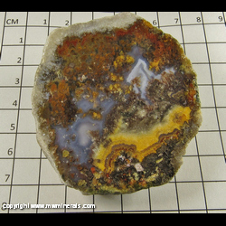 Mineral Specimen: Agate, Plume End Cut, Polished from Chihuahua, Mexico Mineral Specimen: Agate, Plume End Cut, Polished from Chihuahua, Mexico