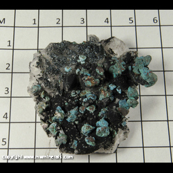 Mineral Specimen: Chalcopyrite and Hematite on Calcite from Pea Ridge Mine, Sullivan, Washington Co, Missouri Mineral Specimen: Chalcopyrite and Hematite on Calcite from Pea Ridge Mine, Sullivan, Washington Co, Missouri