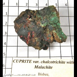 Mineral Specimen: Cuprite variety Chalcotrichite, Malachite from Bisbee, Warren dist,  Cochise Co,  Arizona