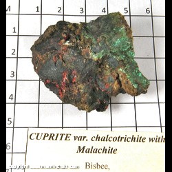 Mineral Specimen: Cuprite variety Chalcotrichite, Malachite from Bisbee, Warren dist, Cochise Co, Arizona Mineral Specimen: Cuprite variety Chalcotrichite, Malachite from Bisbee, Warren dist, Cochise Co, Arizona