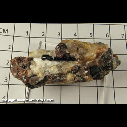 Minerals Specimen: Schorl Tourmaline, Spessartine Garnet, Quartz from Harvard Quarry, Oxford Co., Maine Minerals Specimen: Schorl Tourmaline, Spessartine Garnet, Quartz from Harvard Quarry, Oxford Co., Maine