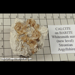 Mineral Specimen: Calcite and Pyrite on Barite from New Level, Whitesmith Mine, Argyllshire, Scotland Mineral Specimen: Calcite and Pyrite on Barite from New Level, Whitesmith Mine, Argyllshire, Scotland