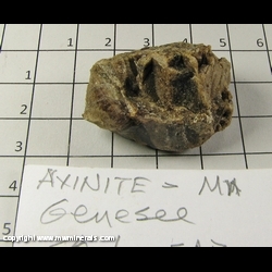 Mineral Specimen: Axinite-(Mn) from Genesee Valley, Plumas Co,  California