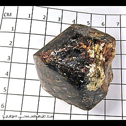 Mineral Specimen: Dravite Tourmaline (Polished on one side), Muscovite from Yinnietharra, Upper Gascoyne Shire, Western Australia, Australia