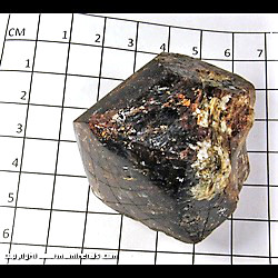 Mineral Specimen: Dravite Tourmaline (Polished on one side), Muscovite from Yinnietharra, Upper Gascoyne Shire, Western Australia, Australia Mineral Specimen: Dravite Tourmaline (Polished on one side), Muscovite from Yinnietharra, Upper Gascoyne Shire, Western Australia, Australia