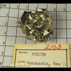 Minerals Specimen: Pyrite from Schoharie Township, Schoharie Co., New York Minerals Specimen: Pyrite from Schoharie Township, Schoharie Co., New York