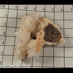 Mineral Specimen: Calcite from Oskaloosa coal mines, Mahaska Co, Iowa Mineral Specimen: Calcite from Oskaloosa coal mines, Mahaska Co, Iowa