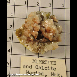 Mineral Specimen: Mimetite and Calcite from Mapimi, Durango, Mexico