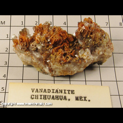 Minerals Specimen: Vanadinite from Chihuahua, Mexico Minerals Specimen: Vanadinite from Chihuahua, Mexico