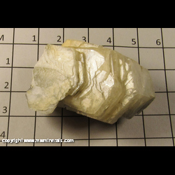 Mineral Specimen: Calcite variety Pokerchip from Charcas, San Luis Potosi, Mexico Mineral Specimen: Calcite variety Pokerchip from Charcas, San Luis Potosi, Mexico