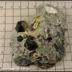 Mineral Specimen: Almandine Garnet in Schist from Styria, Austria Mineral Specimen: Almandine Garnet in Schist from Styria, Austria
