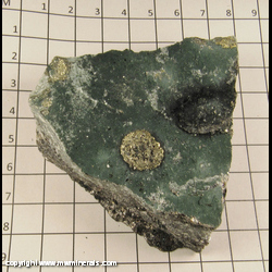 Mineral Specimen: Pyrite on Schist from North Carolina