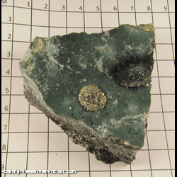 Mineral Specimen: Pyrite on Schist from North Carolina Mineral Specimen: Pyrite on Schist from North Carolina