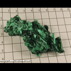 Minerals Specimen: Malachite, Chatoyant from Kolwezi District, Katanga (Shaba), Dem. Rep. of Congo Minerals Specimen: Malachite, Chatoyant from Kolwezi District, Katanga (Shaba), Dem. Rep. of Congo