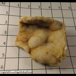 Mineral Specimen: Quartz Druze from Washington Co,  Missouri