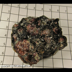 Minerals Specimen: Rhodolite Garnet in Biotite Schist from Rhodolite Mine, Macon Co., North Carolina Minerals Specimen: Rhodolite Garnet in Biotite Schist from Rhodolite Mine, Macon Co., North Carolina