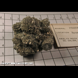 Mineral Specimen: Pyritized Marine Burrow from Ross Co, Ohio Mineral Specimen: Pyritized Marine Burrow from Ross Co, Ohio