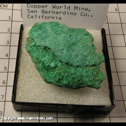 Mineral Specimen: Malachite from Copper World Mine,  San Bernardino Co., California