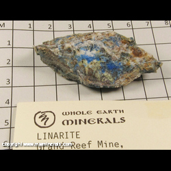 Mineral Specimen: Linarite from Grand Reef Mine, Graham Co., Arizona