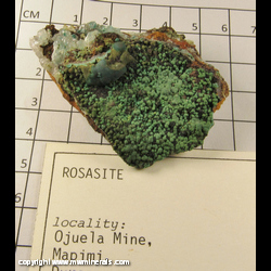 Mineral Specimen: Rosasite, Calcite from Mina Ojuela, Mapimi, Durango, Mexico Mineral Specimen: Rosasite, Calcite from Mina Ojuela, Mapimi, Durango, Mexico