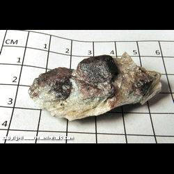 Mineral Specimen: Almandine Garnet in Schist from Roxbury, Litchfield Co., Connecticut
