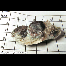 Mineral Specimen: Almandine Garnet in Schist from Roxbury, Litchfield Co., Connecticut Mineral Specimen: Almandine Garnet in Schist from Roxbury, Litchfield Co., Connecticut