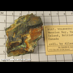 Minerals Specimen: Volborthite from Chalco Mine, Menzies Bay, Vancouver Island, Nanaimo Mining Division, British Columbia, Canada Minerals Specimen: Volborthite from Chalco Mine, Menzies Bay, Vancouver Island, Nanaimo Mining Division, British Columbia, Canada