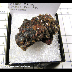 Mineral Specimen: Barite from Magma Mine, Superior, Pioneer Dist., Pinal Co., Arizona Sept. 1963