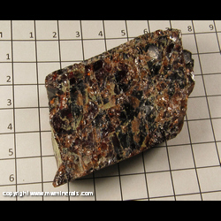 Mineral Specimen: Almandine Garnet in Schist from Gore Mt, North River, Warren Co, New York Mineral Specimen: Almandine Garnet in Schist from Gore Mt, North River, Warren Co, New York