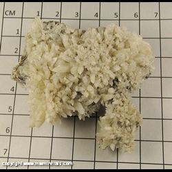 Mineral Specimen: Calcite from Hardin Co, Illinois Mineral Specimen: Calcite from Hardin Co, Illinois