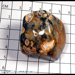 Mineral Specimen: Flint variety: Ohio Rainbow from John Nethers property, Flint Ridge, Hopewell Twp., Muskingum Co., Ohio