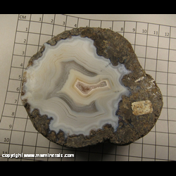 Mineral Specimen: Agate with Quartz Center (polished) from Chihuahua, Mexico Mineral Specimen: Agate with Quartz Center (polished) from Chihuahua, Mexico
