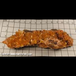 Mineral Specimen: Stilbite from Wasson Bluff, Bay of Fundy, Parrsboro, Cumberland Co, Nova Scotia, Canada Mineral Specimen: Stilbite from Wasson Bluff, Bay of Fundy, Parrsboro, Cumberland Co, Nova Scotia, Canada