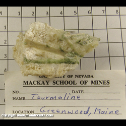 Mineral Specimen: Tourmaline from Greenwood, Oxford Co., Maine Mineral Specimen: Tourmaline from Greenwood, Oxford Co., Maine