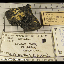 Mineral Specimen: Schorl Tourmaline from Geevor Mine (North Levant Mine), Pendeen, St Just, St Just District, Cornwall, England Mineral Specimen: Schorl Tourmaline from Geevor Mine (North Levant Mine), Pendeen, St Just, St Just District, Cornwall, England