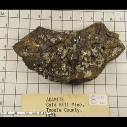 Mineral Specimen: Adamite - White from Gold Hill Mine, Tooele Co, Utah Mineral Specimen: Adamite - White from Gold Hill Mine, Tooele Co, Utah