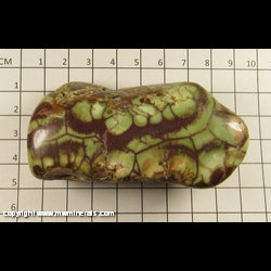 Minerals Specimen: Jasper variety Green Spiderweb from Silver City formation, Oregon Minerals Specimen: Jasper variety Green Spiderweb from Silver City formation, Oregon