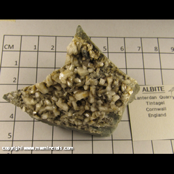 Minerals Specimen: Albite from Lanterdan Quarry, Tintagel, Cornwall, England Minerals Specimen: Albite from Lanterdan Quarry, Tintagel, Cornwall, England