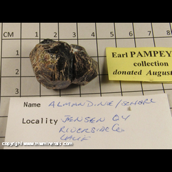 Minerals Specimen: Almandine Garnet from Jensen Quarry (now Landmark Golf Club at Oak Quarry), Jurupa, Jurupa Mts, Riverside Co., California Minerals Specimen: Almandine Garnet from Jensen Quarry (now Landmark Golf Club at Oak Quarry), Jurupa, Jurupa Mts, Riverside Co., California